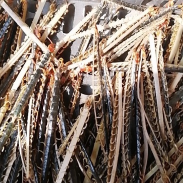 湖北十堰大量野生蜈蚣上市，每天十万条，有兴趣的收购商可合