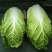 河北陆地优质玲珑黄白菜黄心白菜大量上市。产地供应。