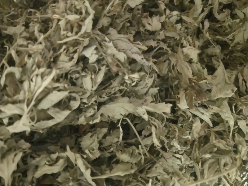 艾叶，品质保证，大量有货，欢迎大家来电咨询