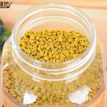 冻鲜蜂花粉