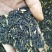 2年纯新头茬知母籽手工籽质量保障基地直发