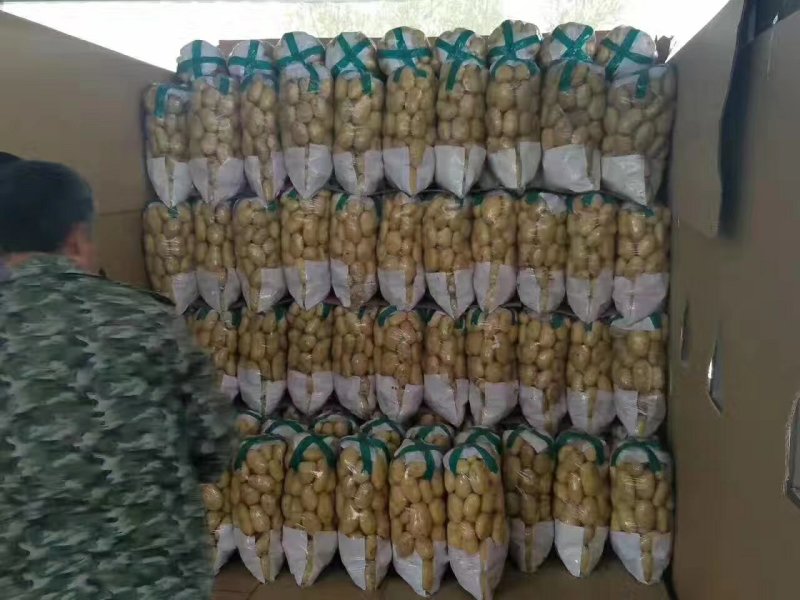 滕州精品土豆，荷兰十五土豆颜色漂亮可以根据客户要求装