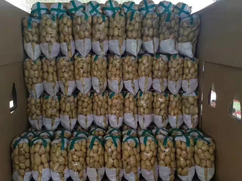 滕州精品土豆，荷兰十五土豆颜色漂亮可以根据客户要求装