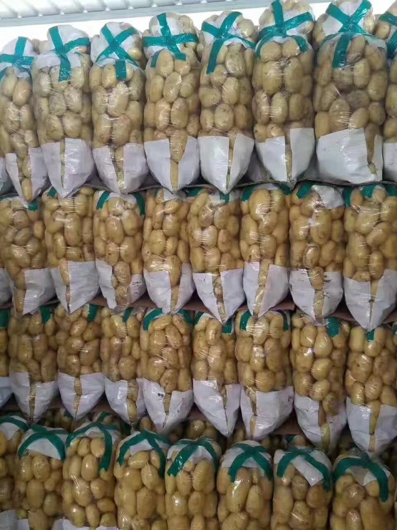 滕州精品土豆，荷兰十五土豆颜色漂亮可以根据客户要求装