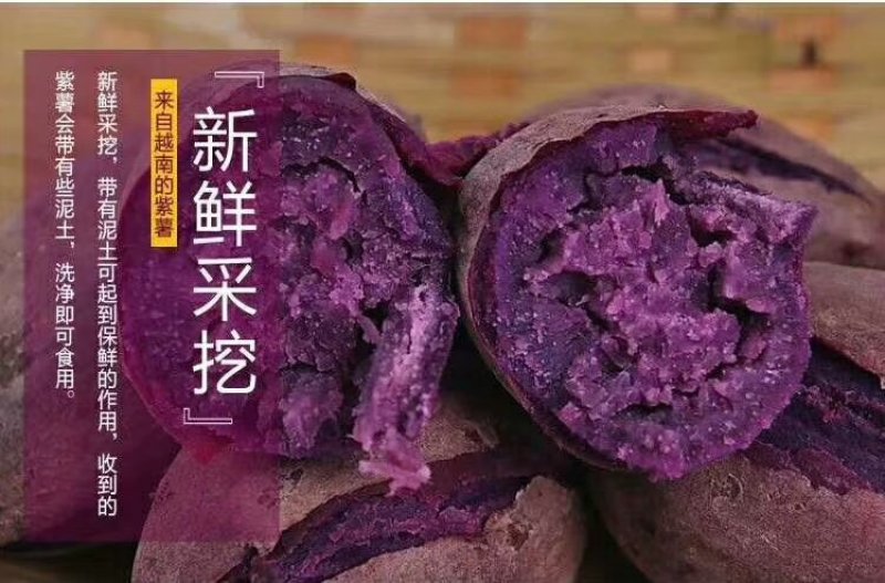 越南小紫薯珍珠薯红薯地瓜