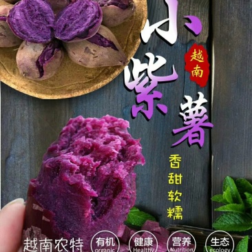 越南小紫薯珍珠薯红薯地瓜