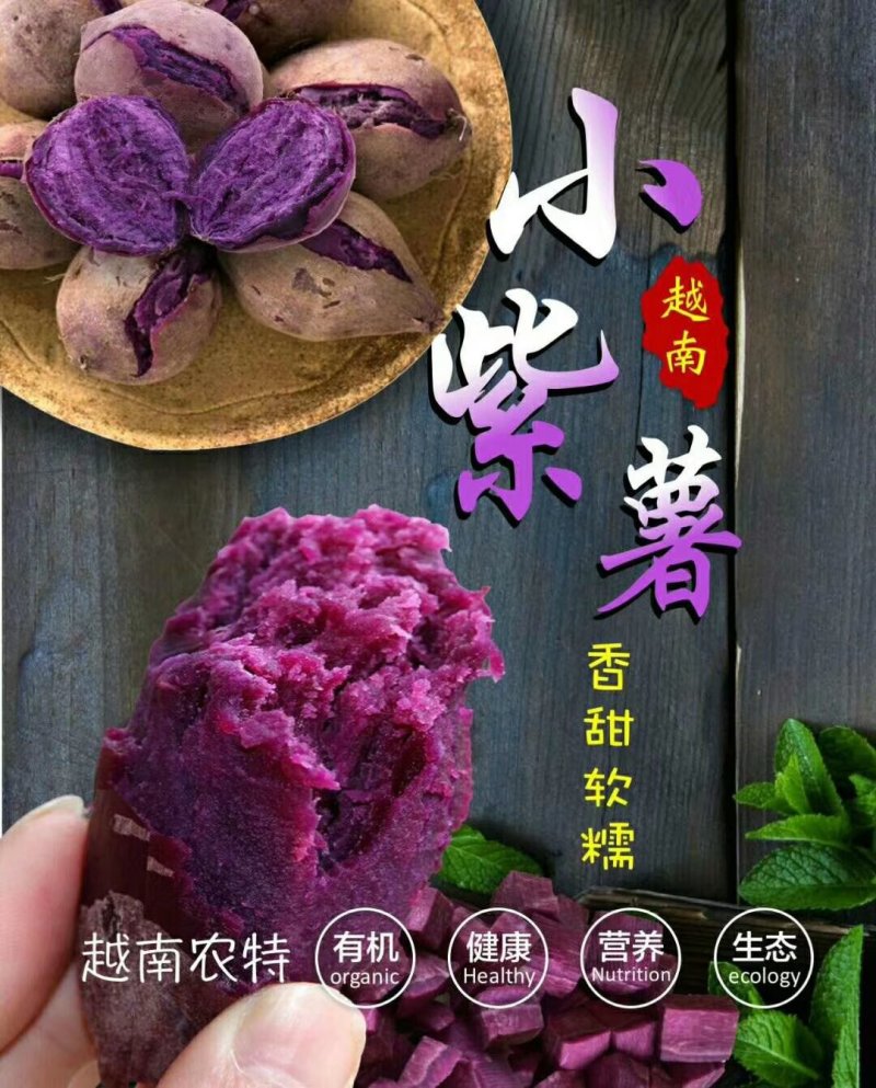 越南小紫薯珍珠薯红薯地瓜