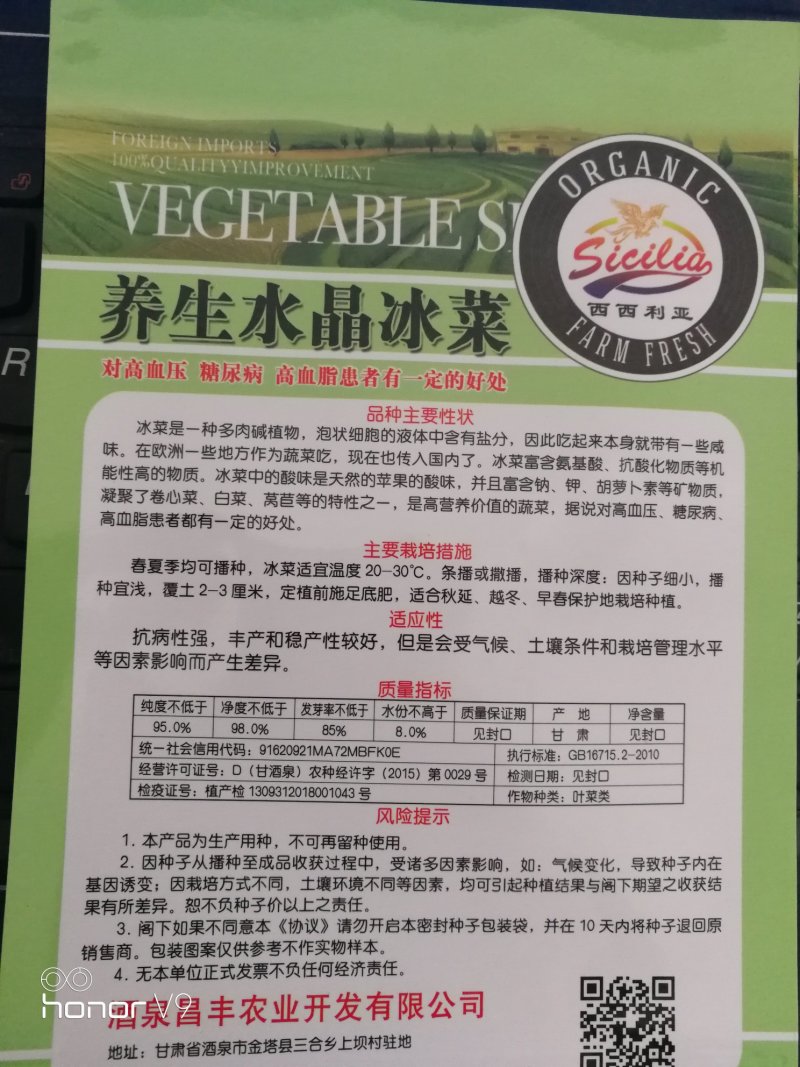 【优质】冰菜种子产量高口感爽脆长势快抗虫性好带小冰晶