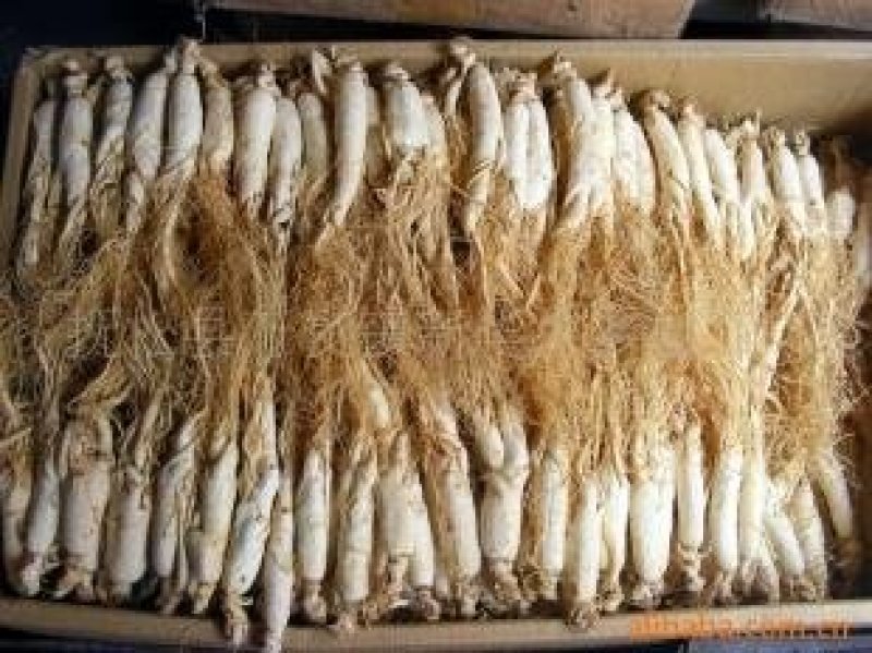长白山无硫人参盒装500g原皮全须白