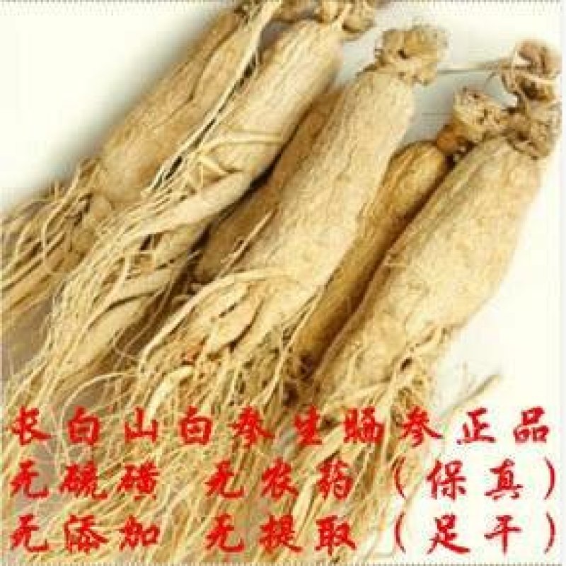 长白山无硫人参盒装500g原皮全须白