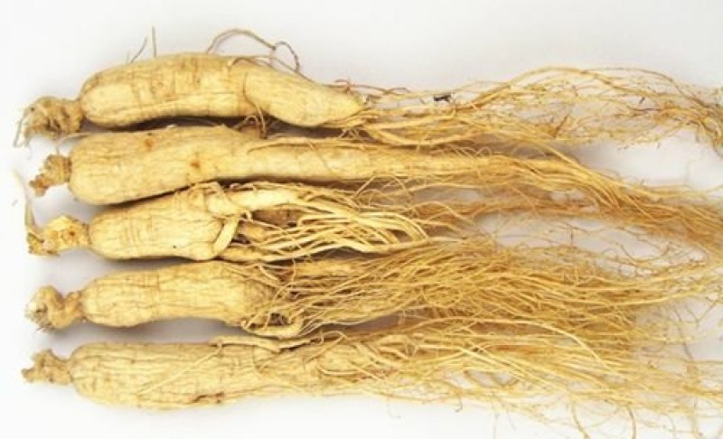 长白山无硫人参盒装500g原皮全须白