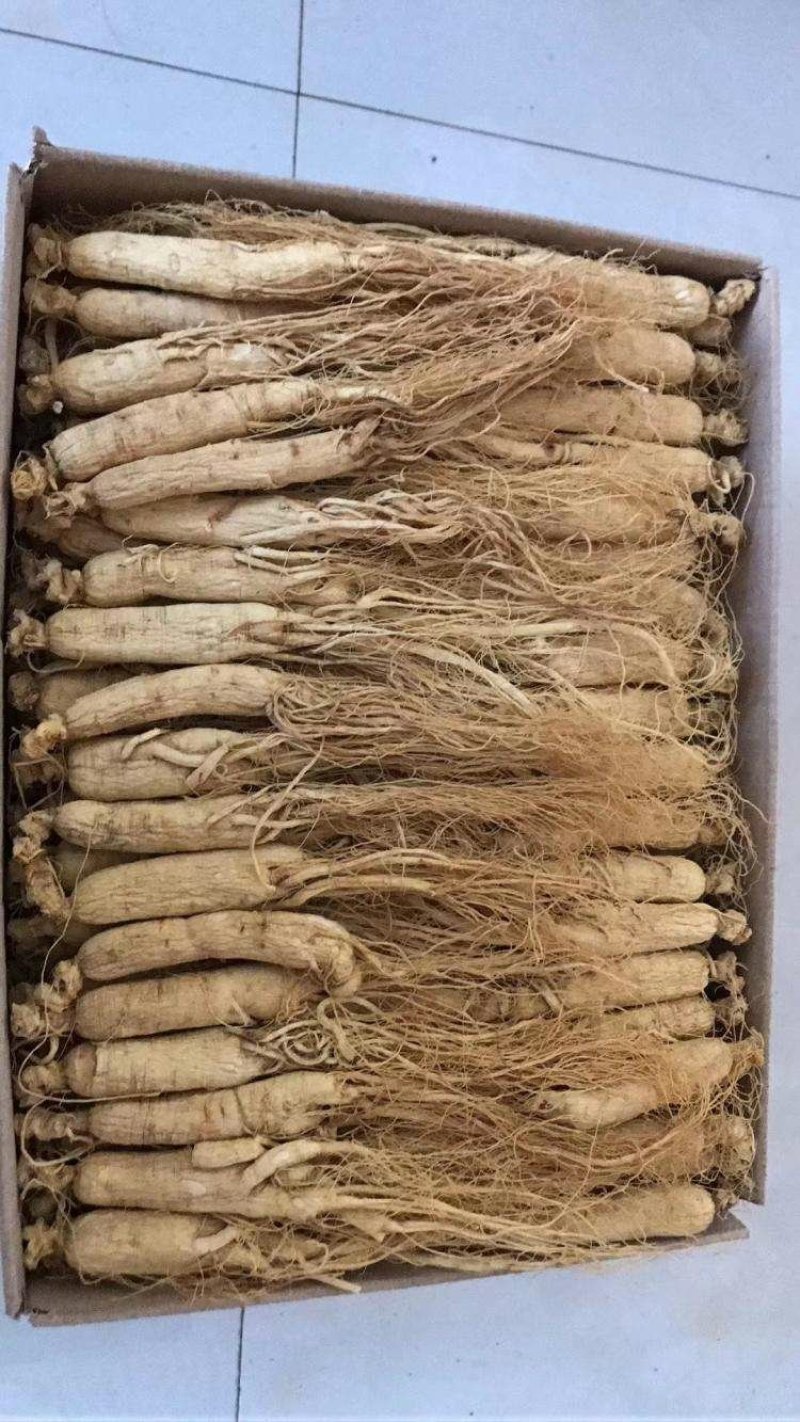 长白山无硫人参盒装500g原皮全须白