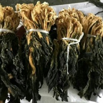 白菜干脱水白菜干菜优质品