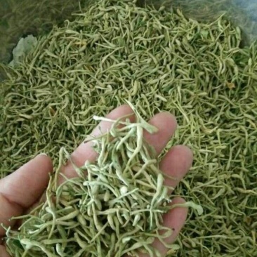 金银花非山银花金银花可泡茶青花批发零售各种规格中药材