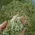 金银花非山银花金银花可泡茶青花批发零售各种规格中药材