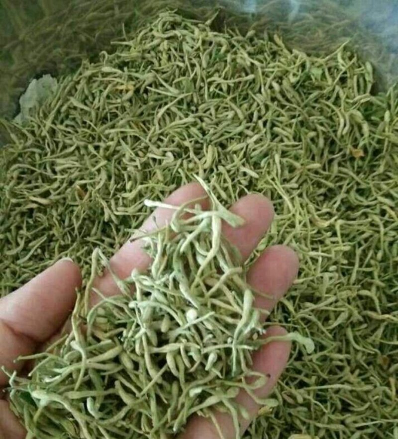 金银花非山银花金银花可泡茶青花批发零售各种规格中药材