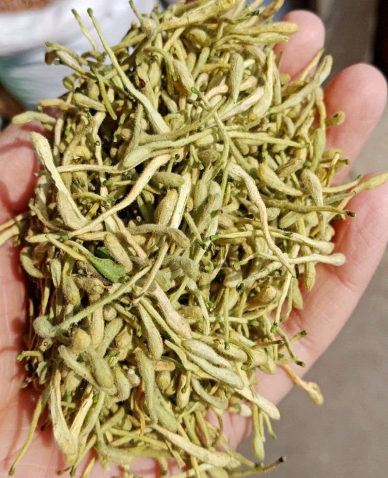 金银花非山银花金银花可泡茶青花批发零售各种规格中药材
