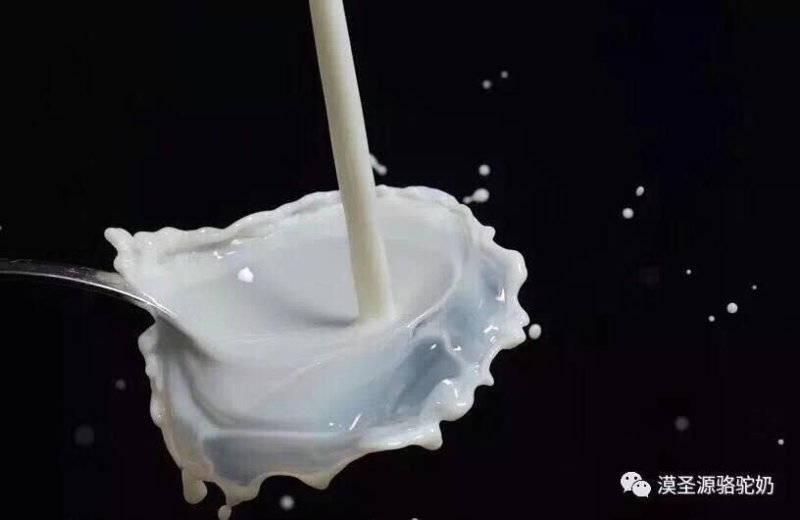驼奶内蒙古阿拉善牧场双峰骆驼驼奶包邮