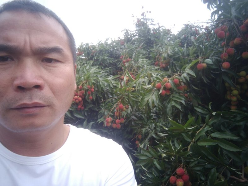 荔枝