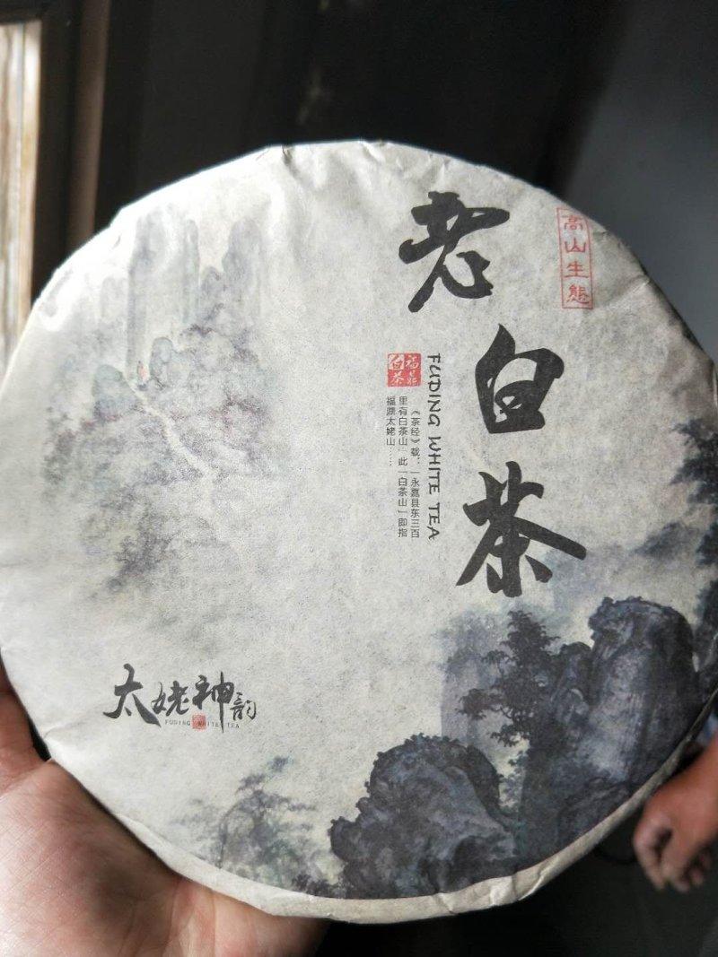 福鼎高山白茶