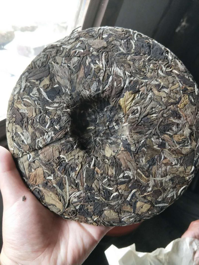 福鼎高山白茶