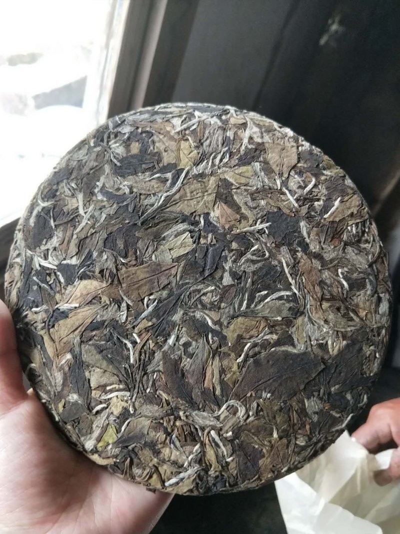 福鼎高山白茶