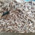饲料鱼