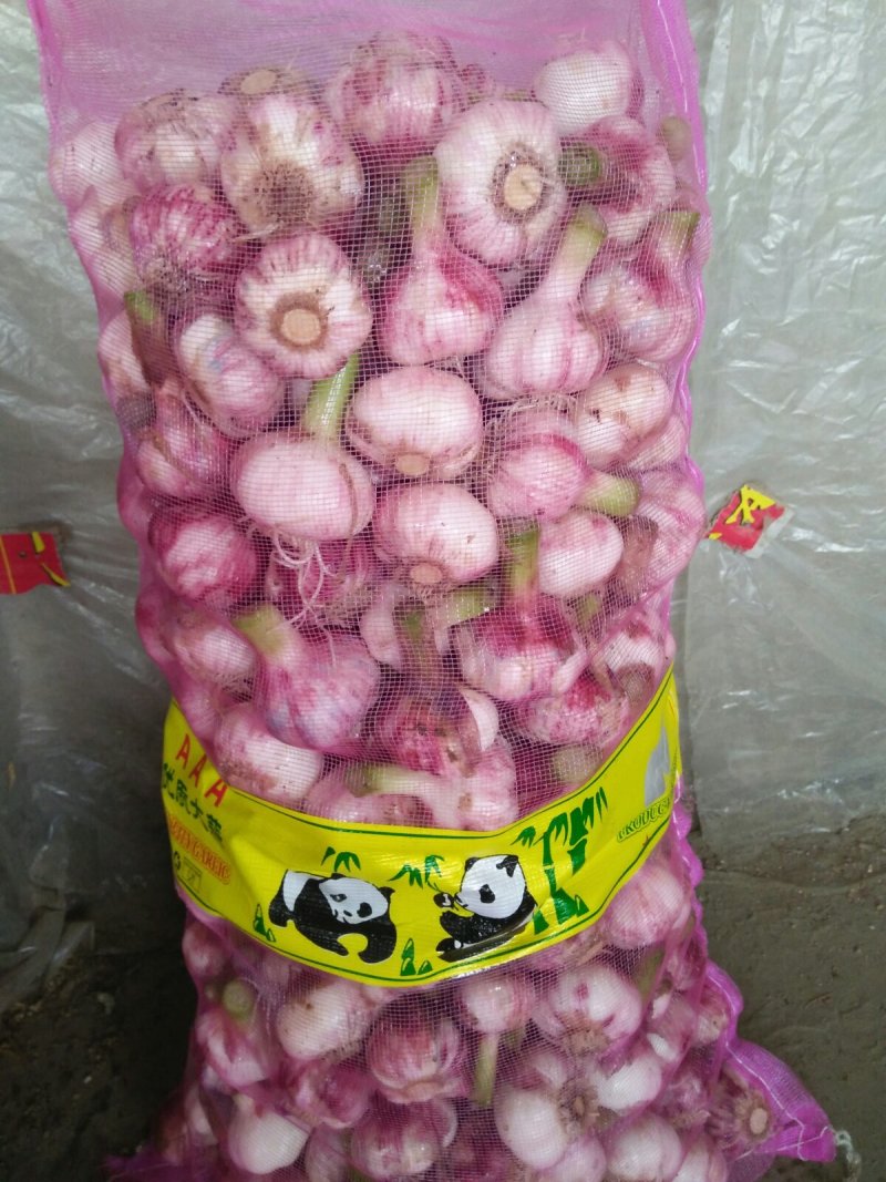 红蒜混级统货鲜蒜
