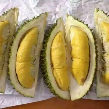 泰国榴莲