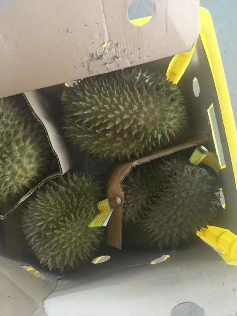 泰国榴莲