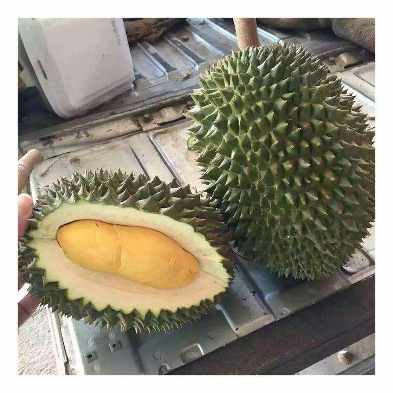 泰国榴莲