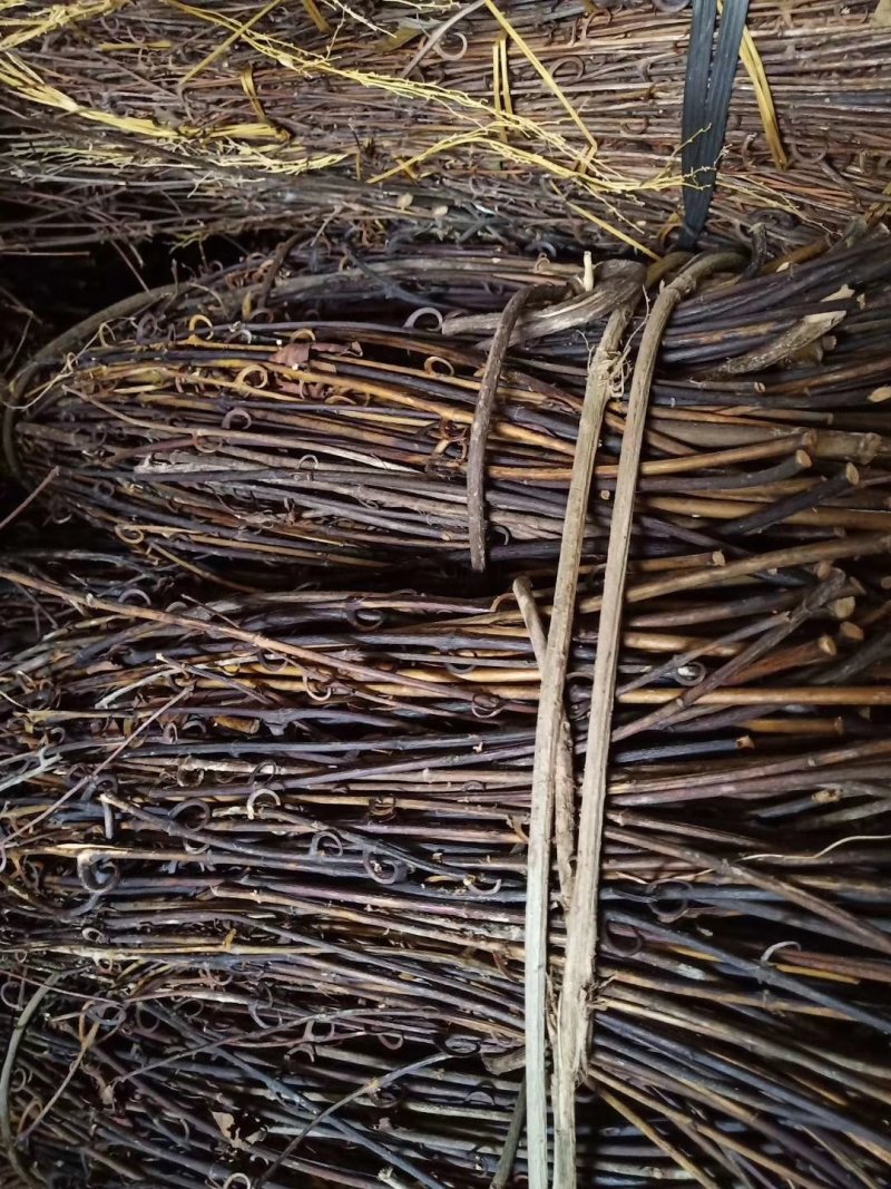 森山老林药药材