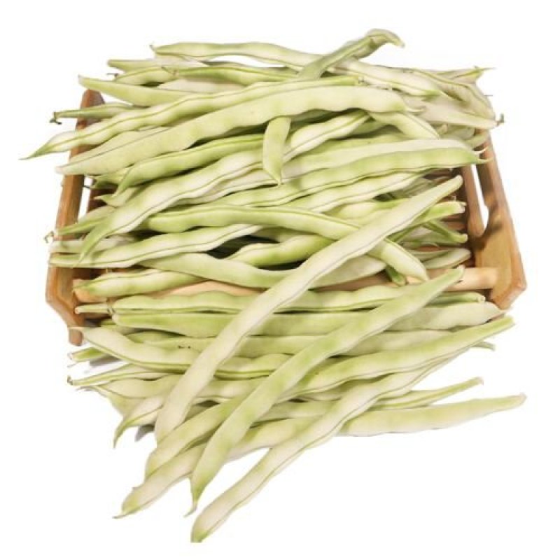 白不老豆角