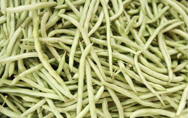 白不老豆角