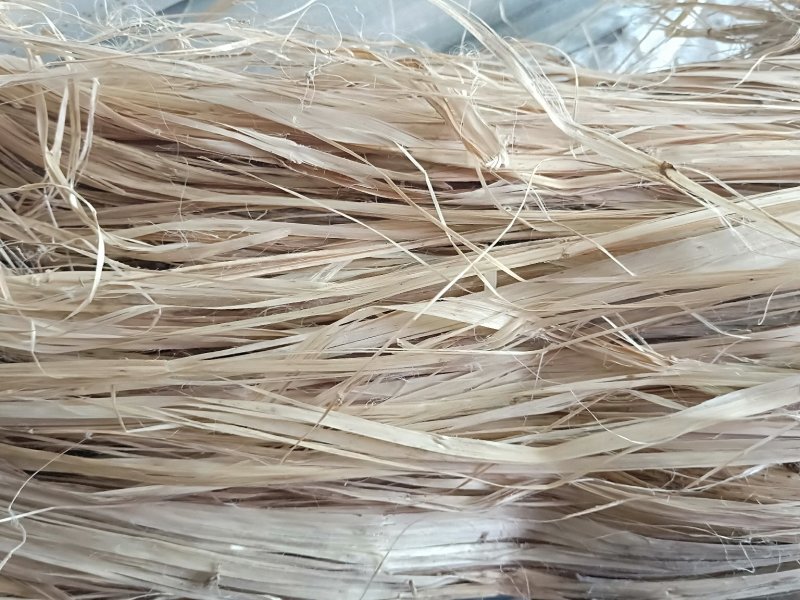 白麻农村种植加工干品