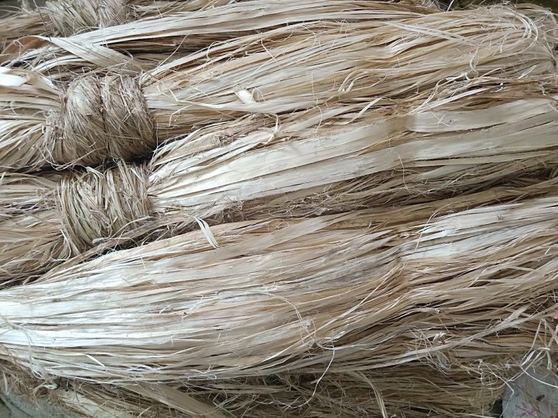 白麻农村种植加工干品