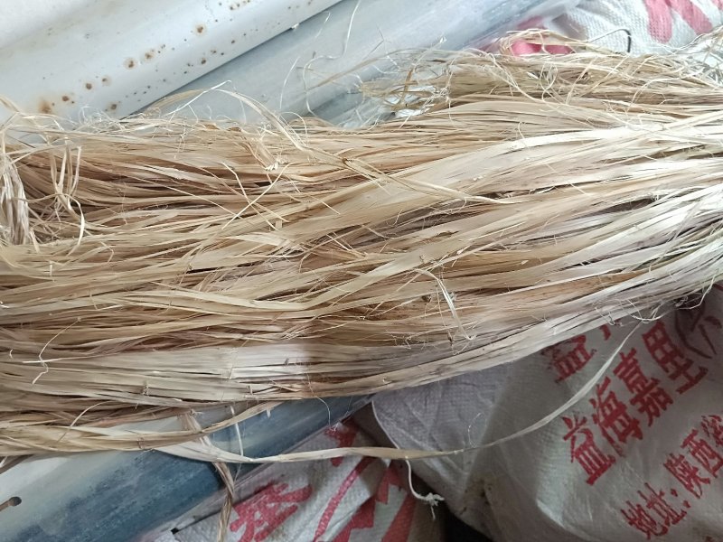 白麻农村种植加工干品