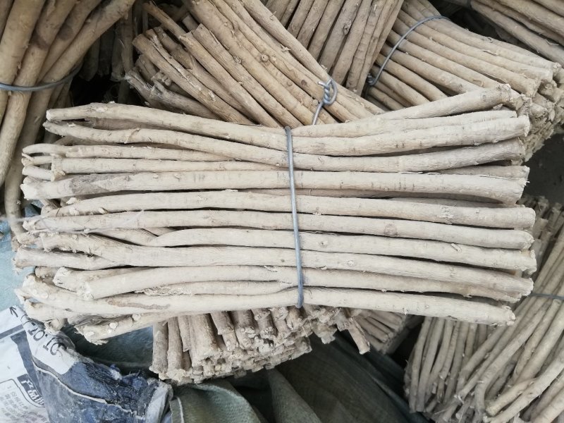 黄芪1.5-2.0cm北芪节子够规格无麻皮可切片
