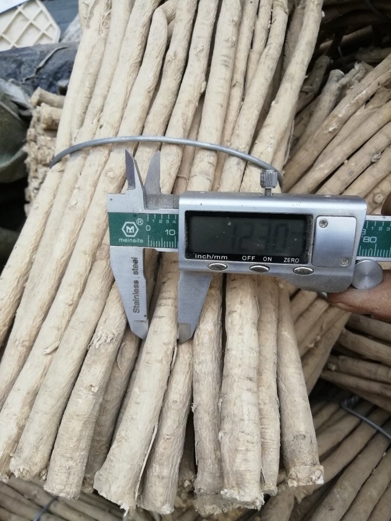 黄芪1.5-2.0cm北芪节子够规格无麻皮可切片