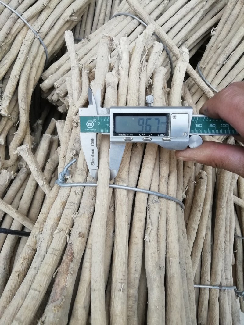 黄芪1.5-2.0cm北芪节子够规格无麻皮可切片