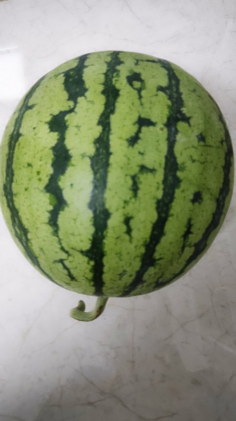 8424