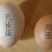孔雀蛋食用的也有受精蛋大量有货全国各地都可发货
