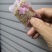 批发黑芝麻营养糕办公室休闲茶点KTV酒吧休闲零食