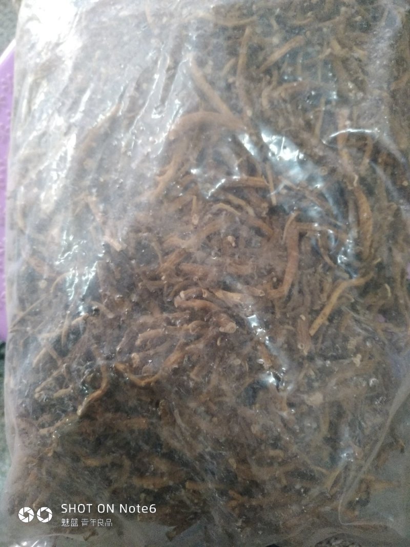 倒提壶纯根