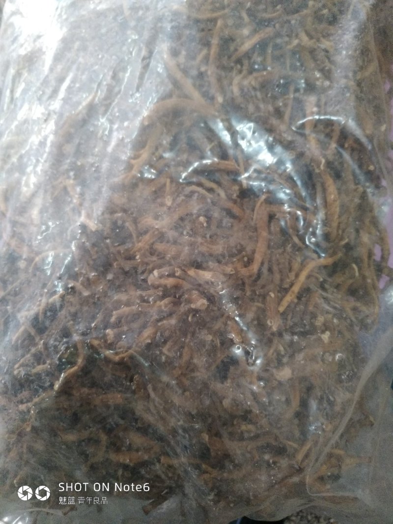 倒提壶纯根