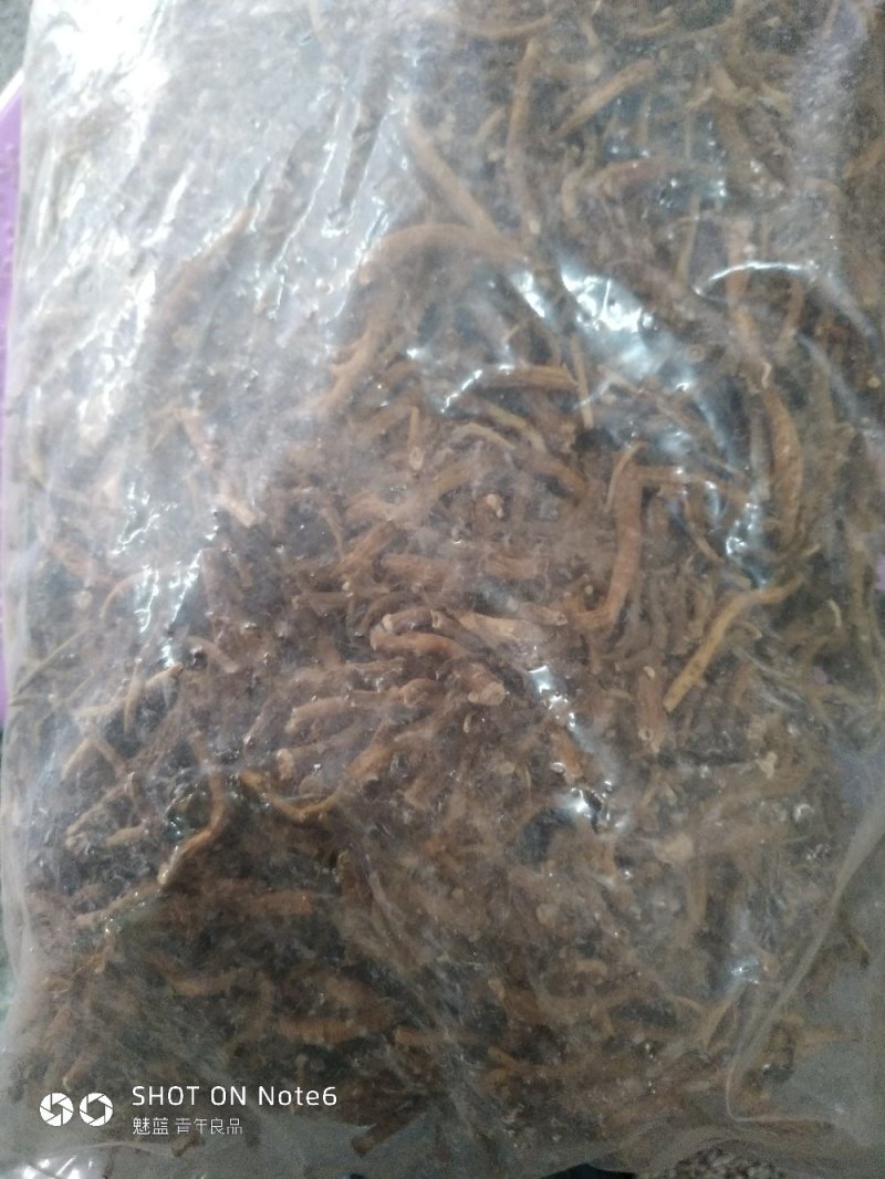 倒提壶纯根