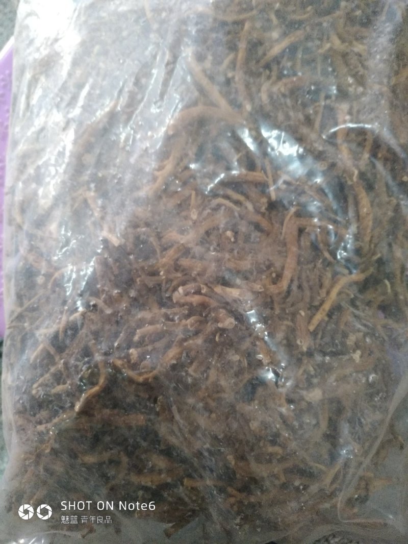 倒提壶纯根