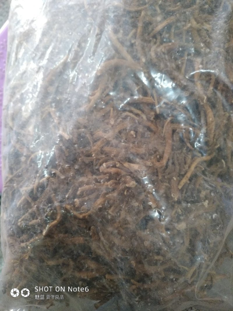倒提壶纯根