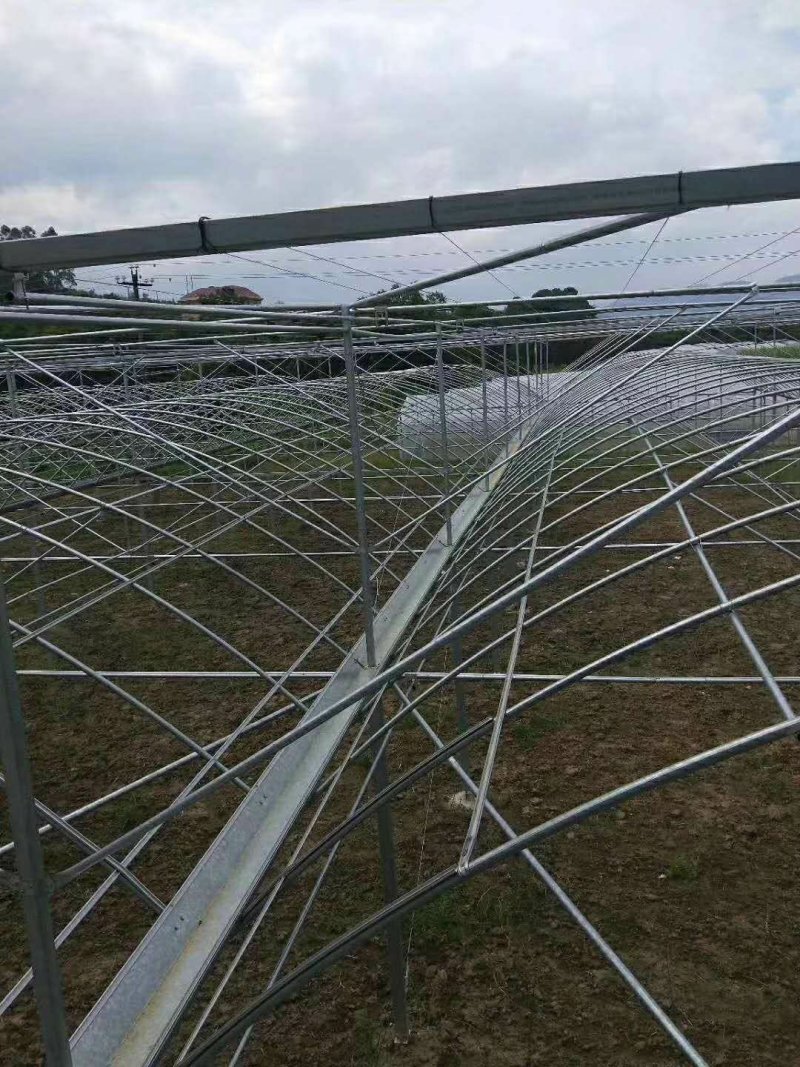 天津温室骨架大棚厂家直销保质保量物美价廉