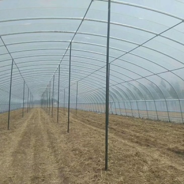天津温室骨架大棚厂家直销保质保量物美价廉